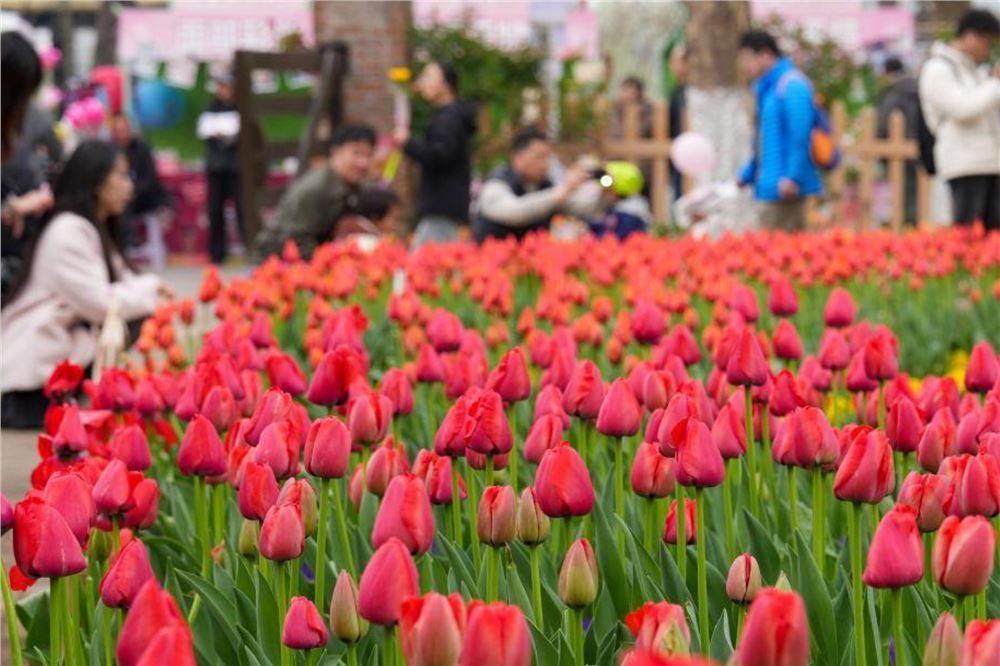 生态修复焕生机 循环经济添活力——江苏绿色发展纪实