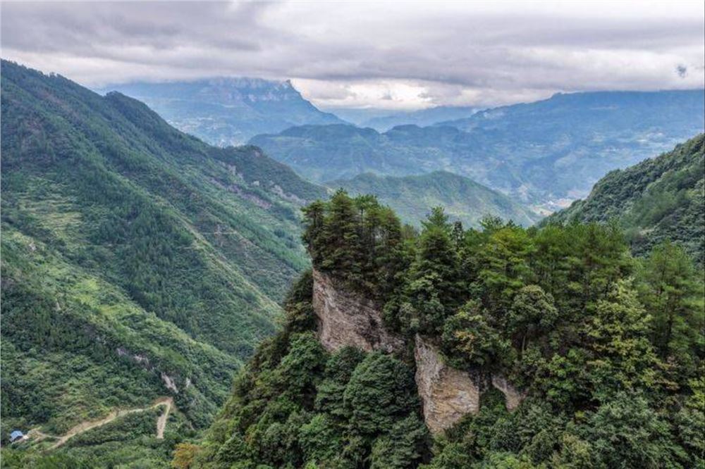 李宗明的36年巡山路