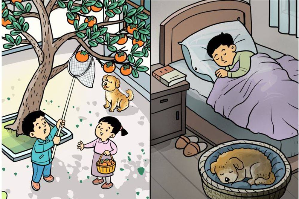 节令之美｜秋分：山河对半秋，桂稻各生香