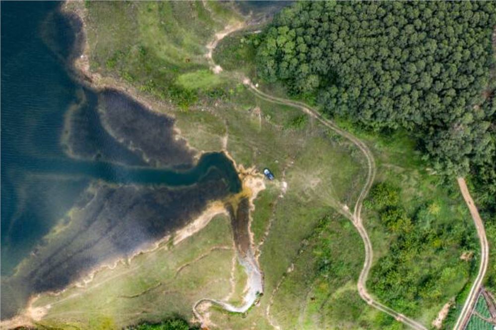 规模越大管得越严 资本流转林地 湖南分级审批