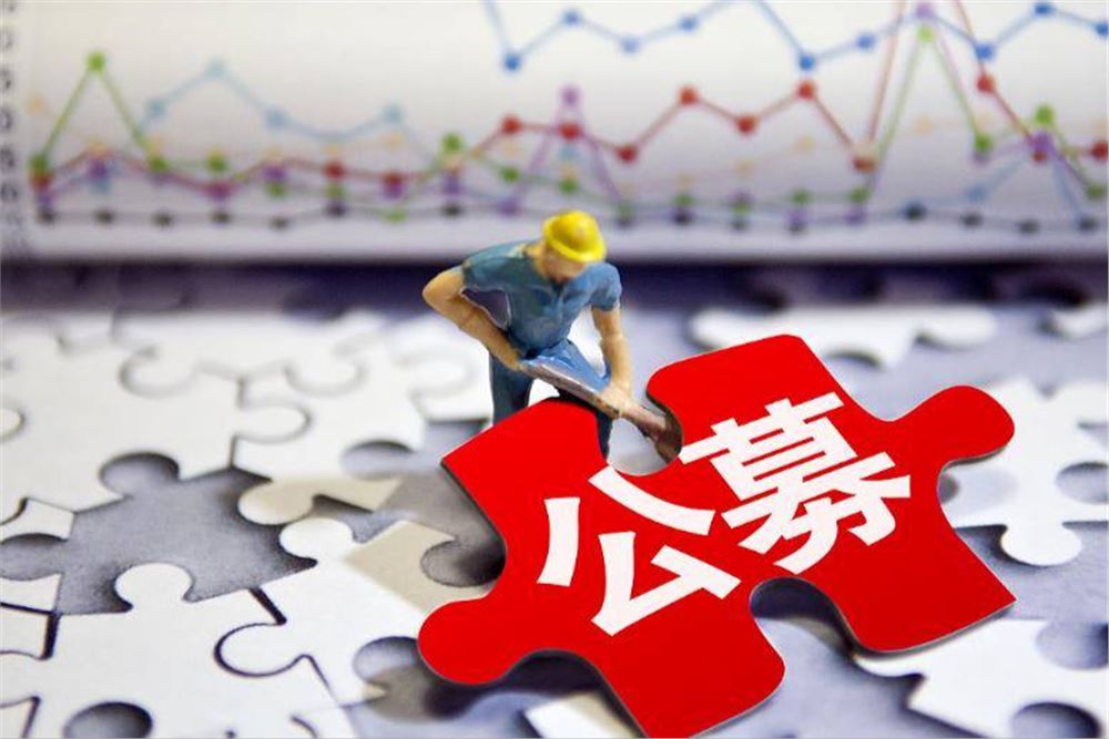 20家公募上半年被监管点名：哪些问题最突出，整改进展如何？