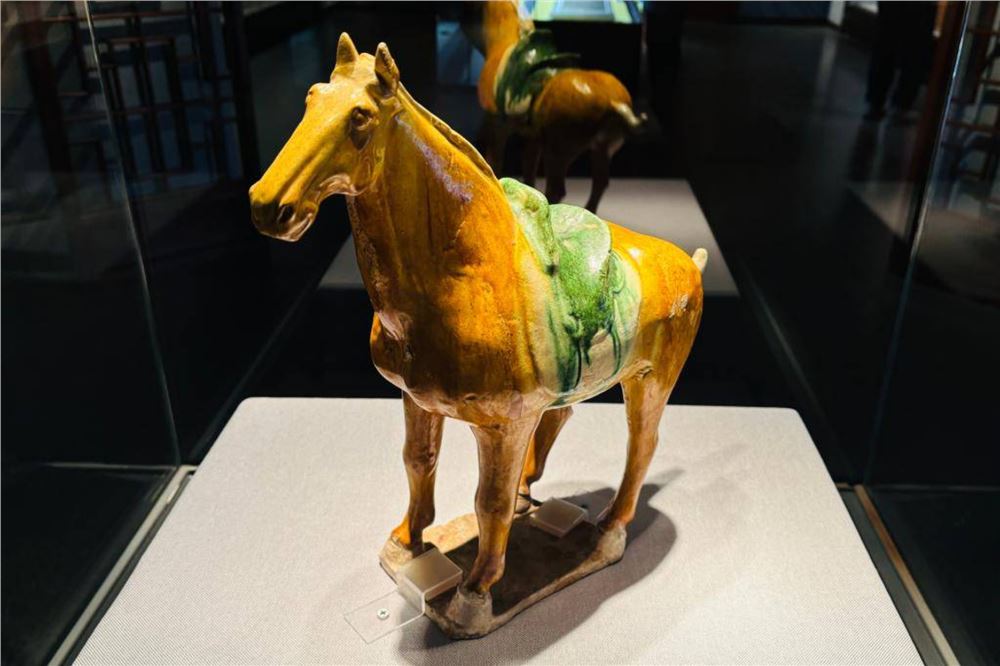 天博馆藏马文物组团亮相，百余件珍品邀你来看“马”