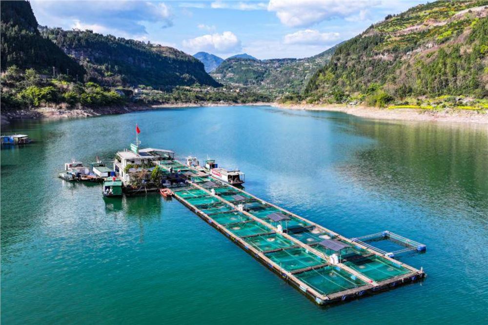 野化驯养基地助力长江水生物种生态修复