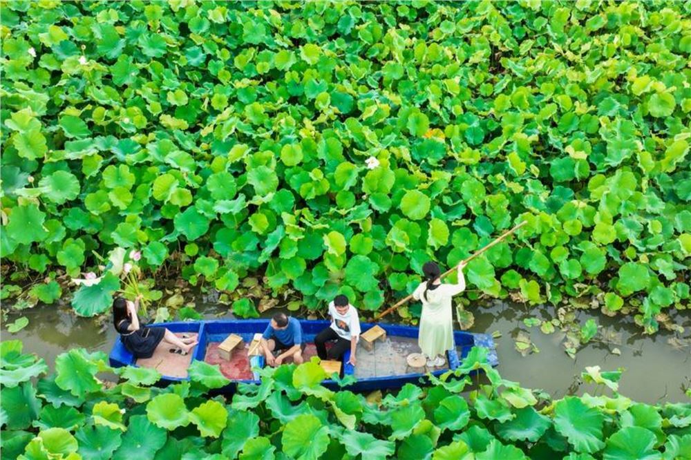 湖南10地入选2026全国“四季村晚”示范展示点