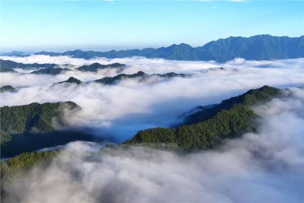 安徽石台：云海泼墨 群峰成画