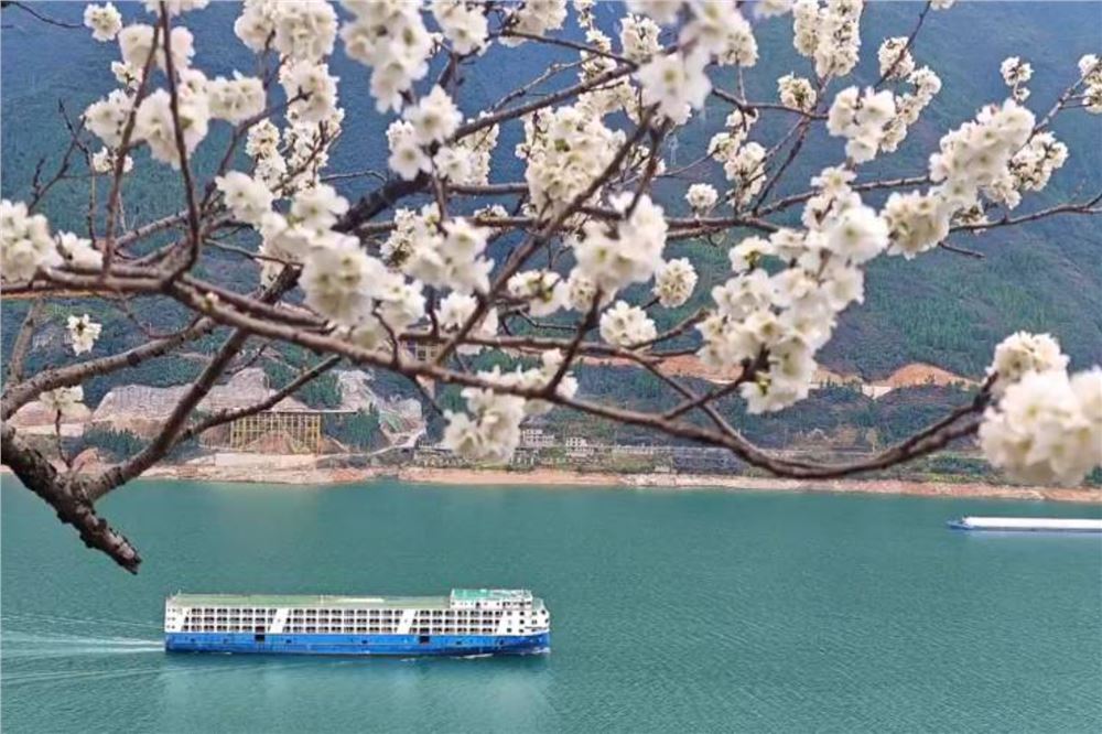 多地春花盛放，来欣赏春日限定版美景！