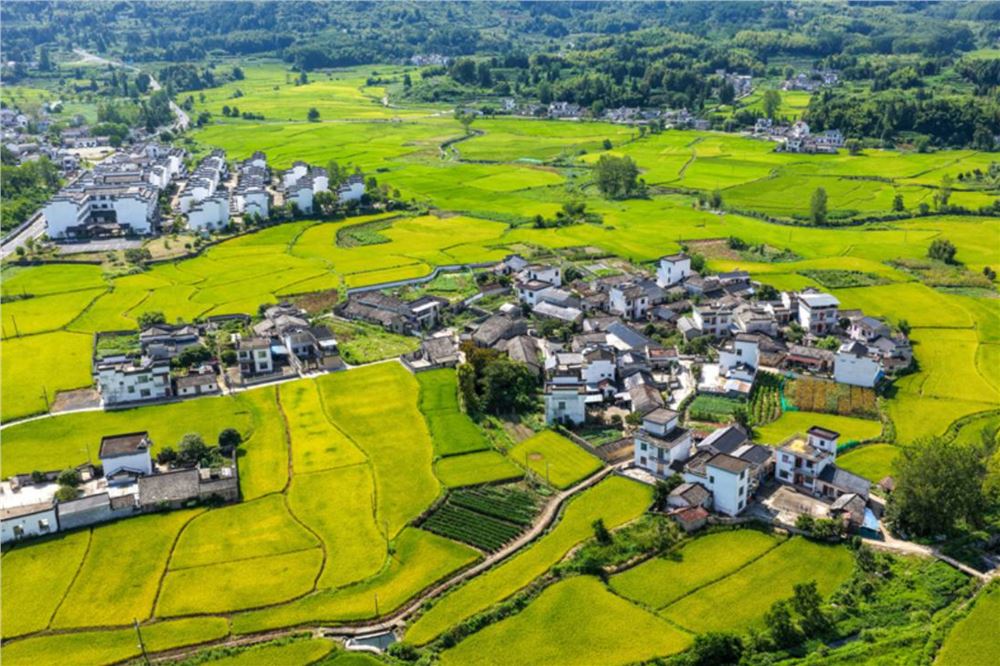 安徽黟县：乡村田园风光美