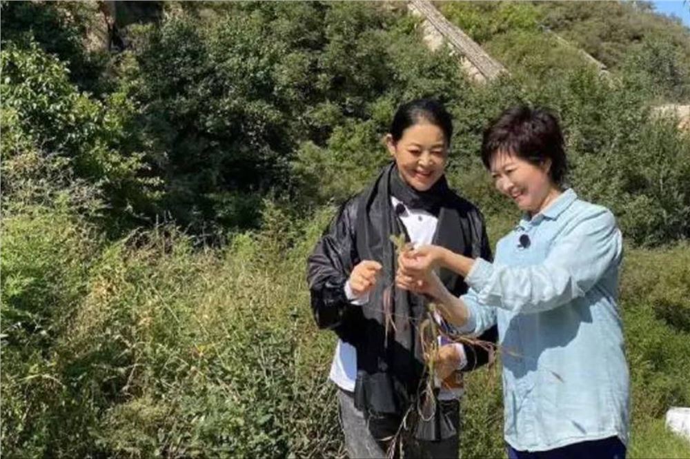 倪萍凌晨发长文悼念敬一丹