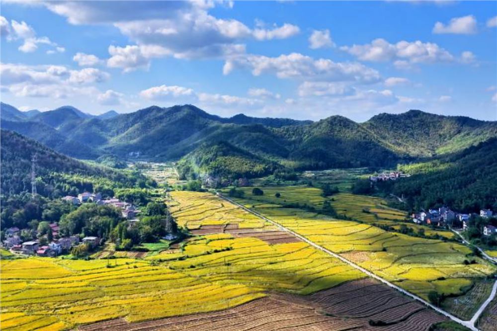 安徽铜陵：山野秋景入画来