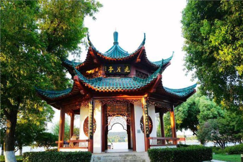 周古平《章草之美》：感受穿越千年的古朴与飞动