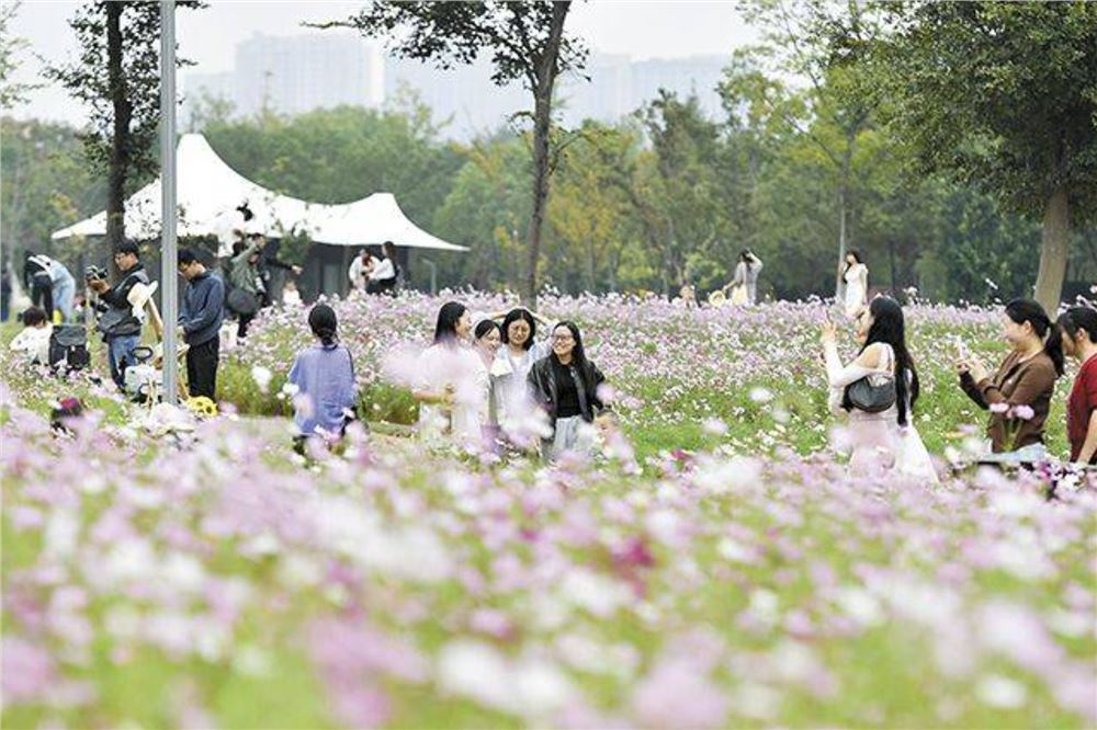 你知道吗？长沙有部公园“使用说明书”