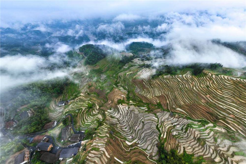 湖南新化：雾漫古梯田