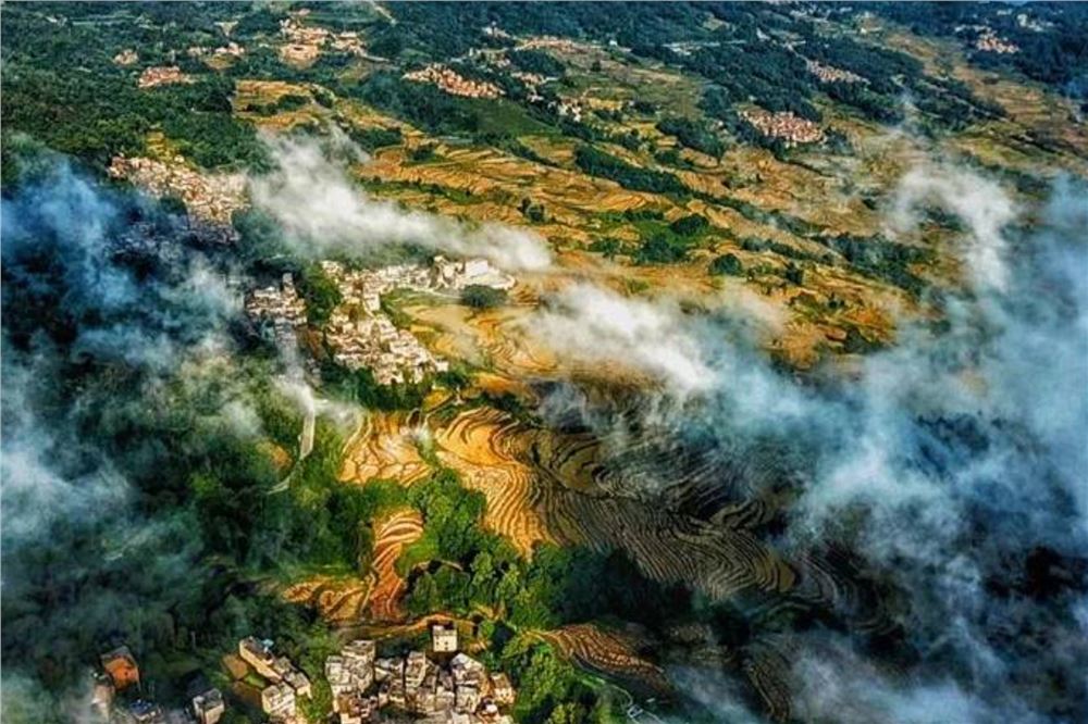 环境保护法等10部法律将纳入生态环境法典