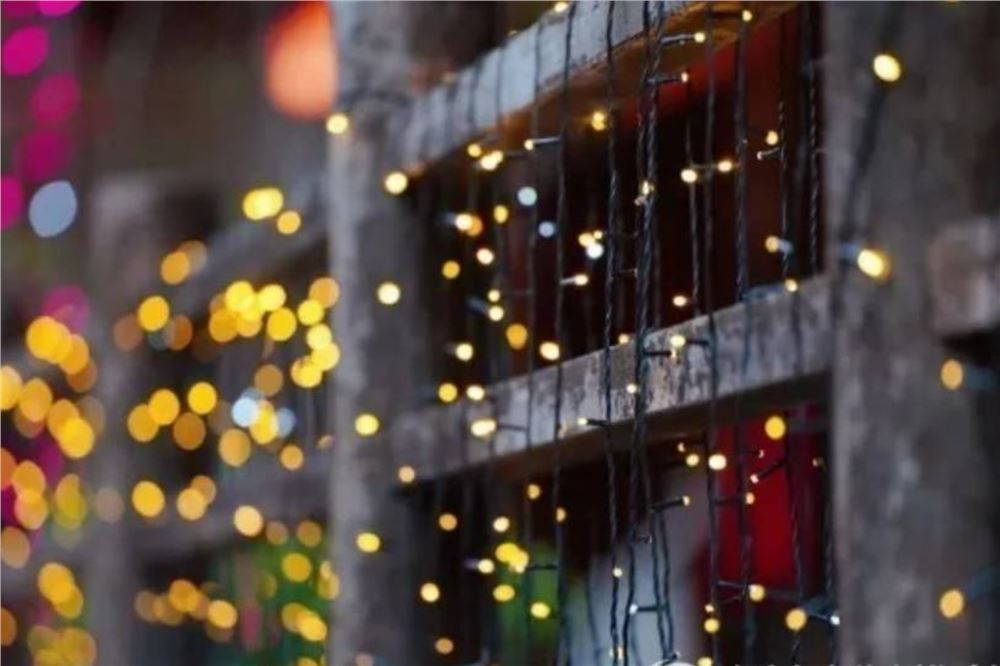 一日禅：只需做好自己