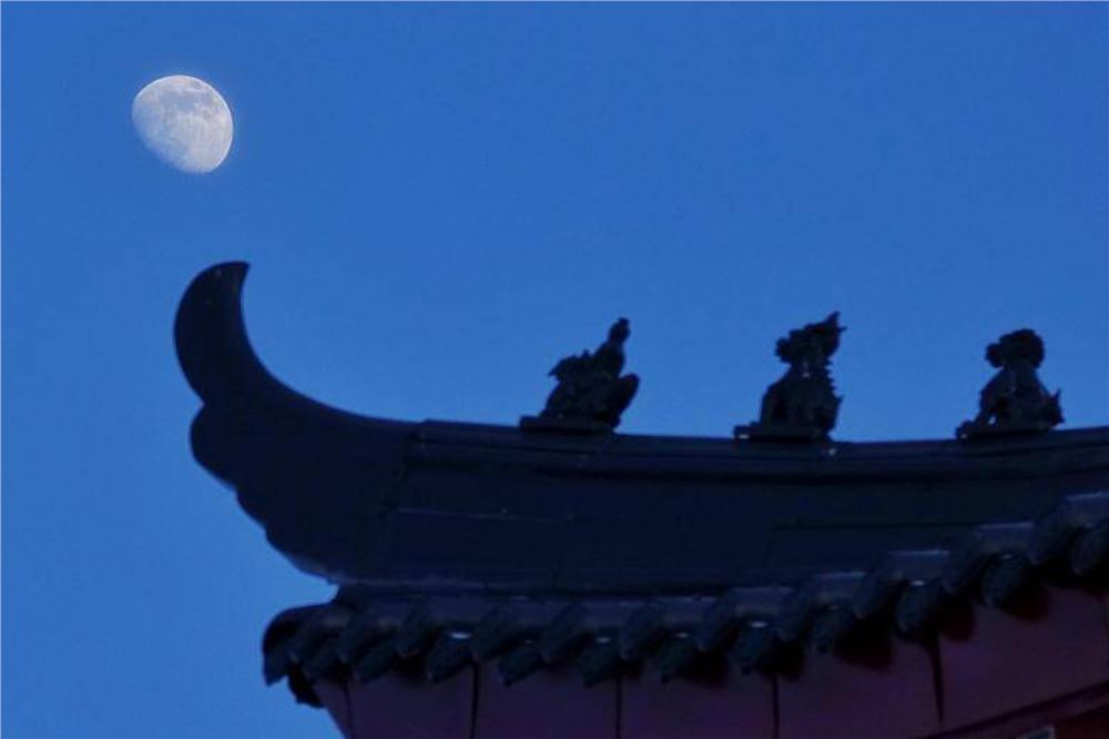 星空相册｜本年度最大盈凸月现身天宇