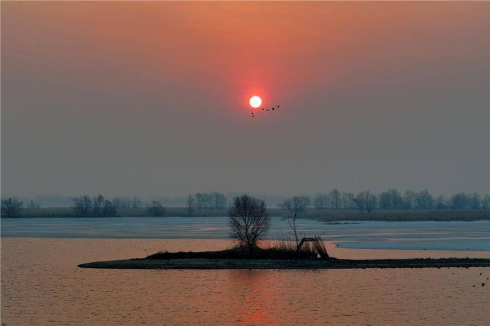 松花江上候鸟迎春