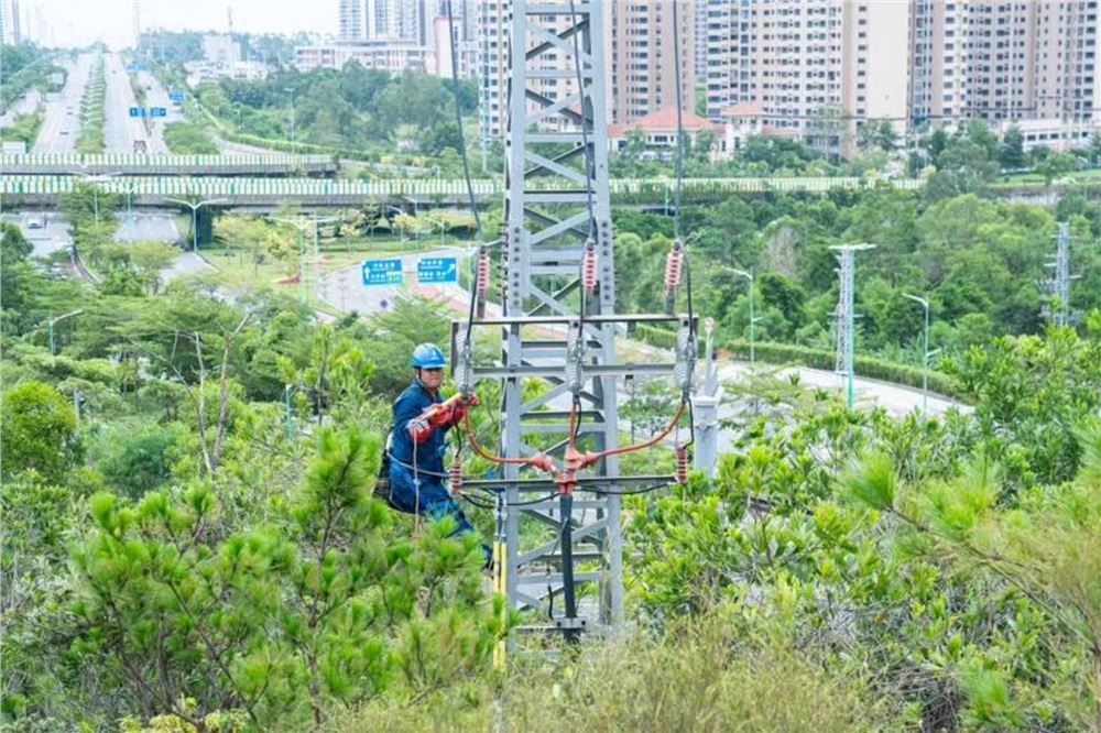 受台风“红霞”影响的广东用户已全部恢复供电