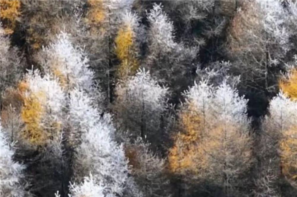 秀我中国丨五台山秋日雾凇奇观