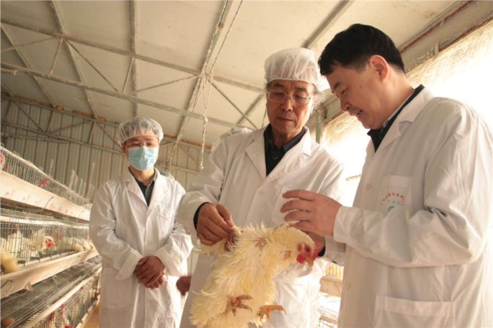 加强畜禽遗传资源保护 夯实种业振兴资源基础——农业农村部种业管理司负责人就《国家级畜禽遗传资源保护名录》答记者问