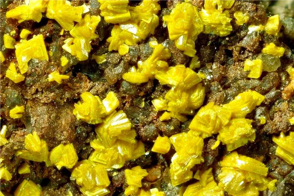 瑞典议会通过议案 明年1月1日解禁铀矿开采