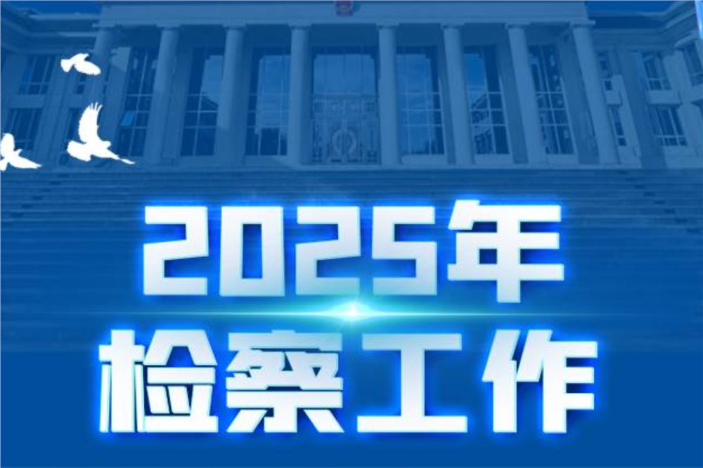 一图全面了解2025年检察工作