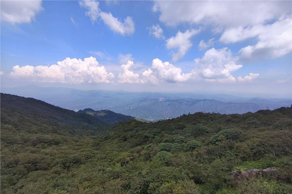 大围山间 绿野沁心