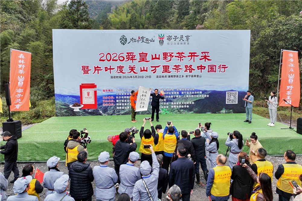 “湘”约新宁！2026年舜皇山野茶开采暨“片叶度关山·万里茶路中国行”正式启动