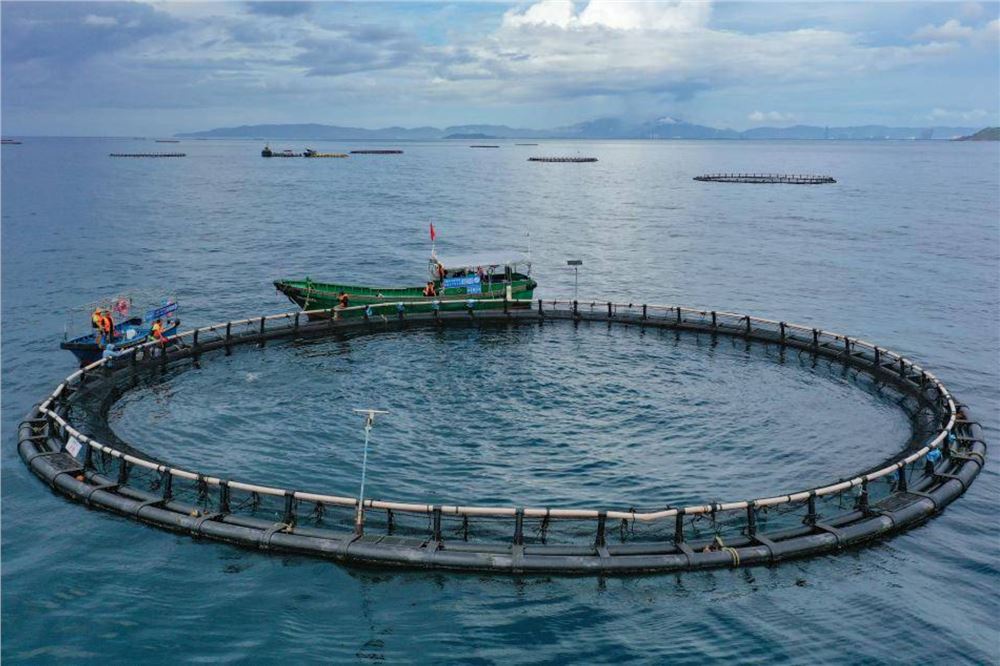 新华鲜报丨约占全球56%！中国渔业好“丰”景