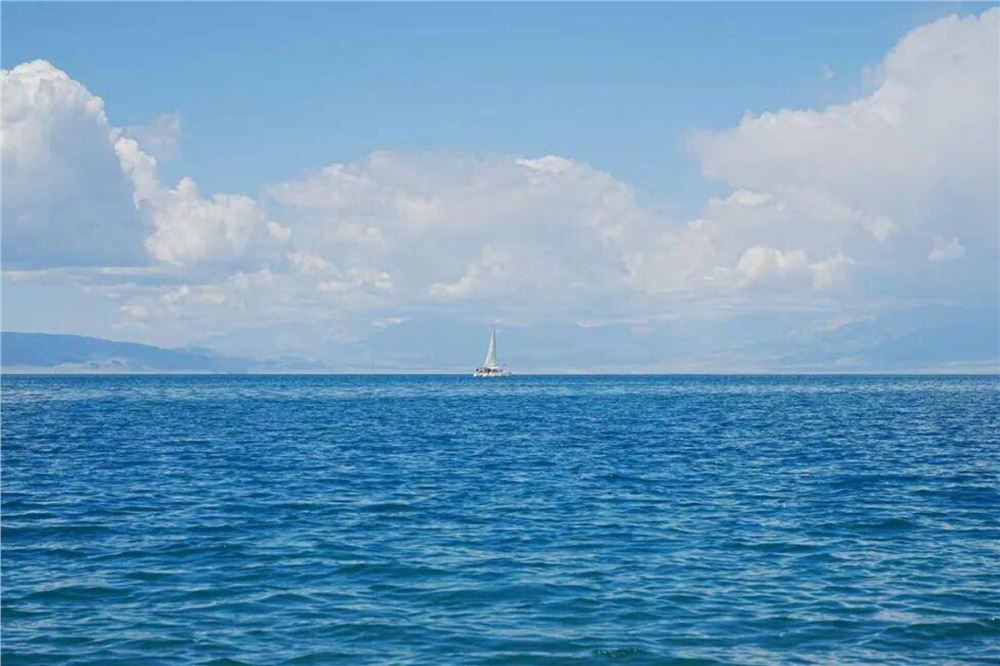 从生态环境法典草案，感悟习近平生态文明思想的人民性和实践性