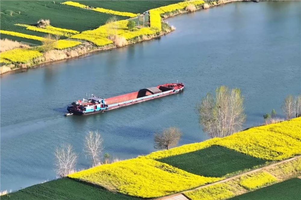 安徽颍上：皖北水乡 春日如画