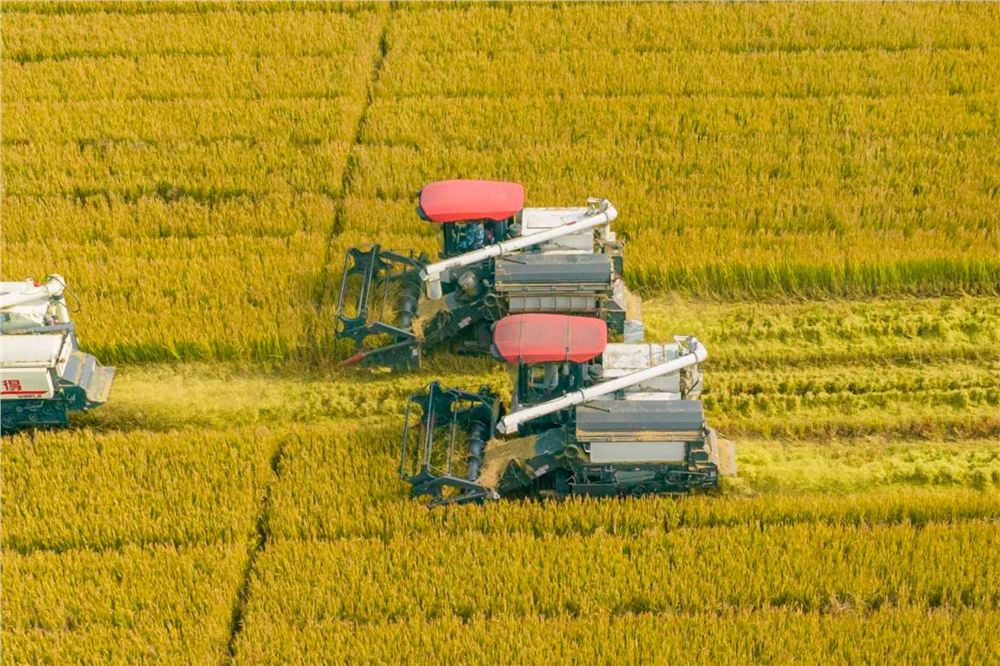 两部门联合印发《涉嫌破坏耕地犯罪案件移送指引》