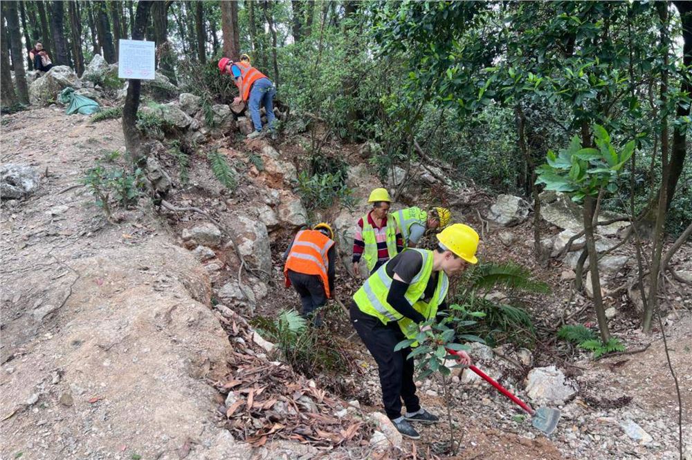 广州黄埔暹岗大山被采挖坑洞已全部回填复绿