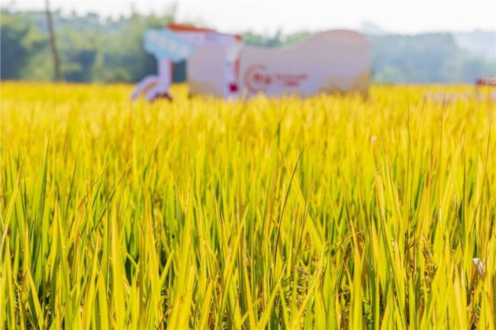 七部门联合部署2026年春耕备耕农资打假工作