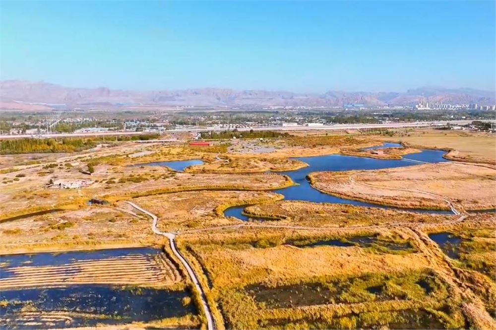 绝美，乌海海勃湾秋意浓！