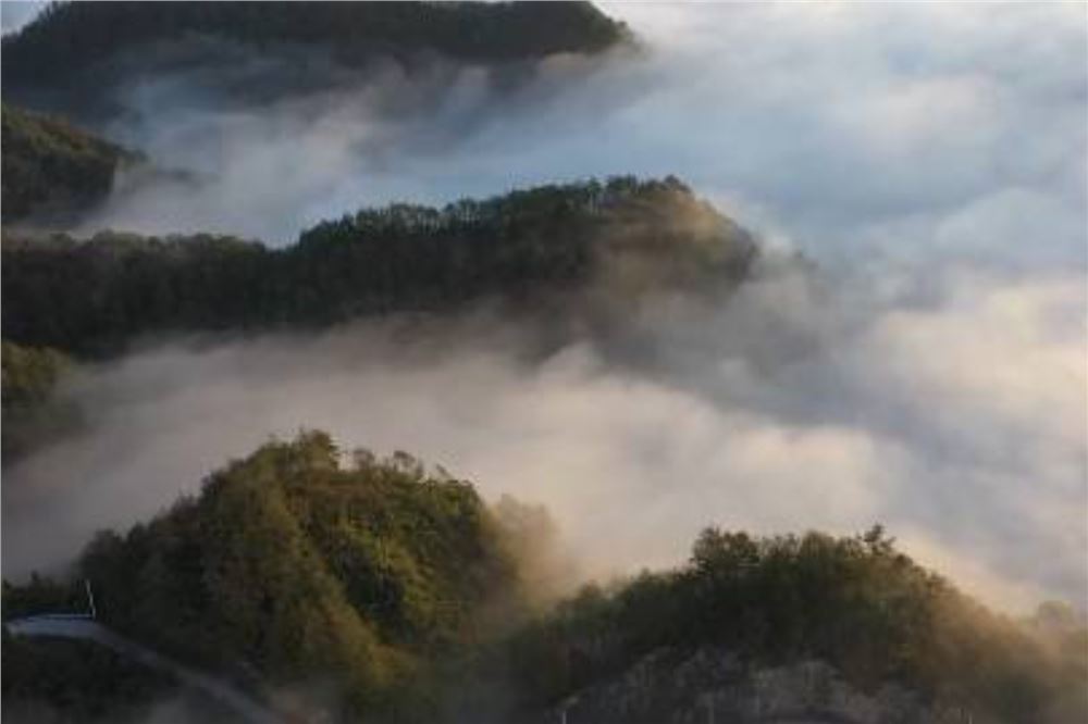 贵州铜仁：云雾绕竹海 山水入画屏