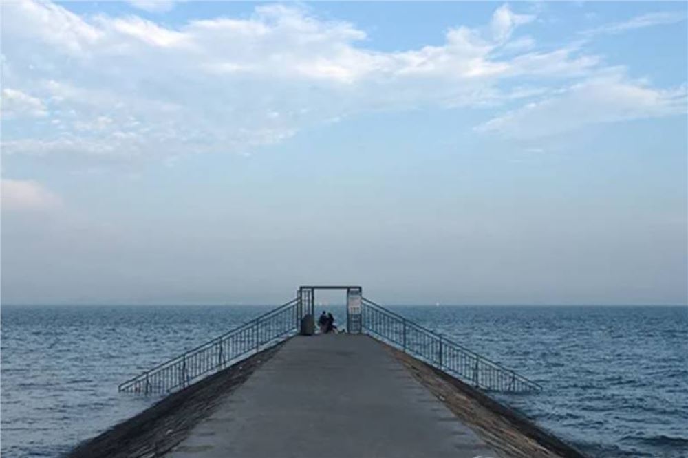 一日禅：有些路，你要一个人走