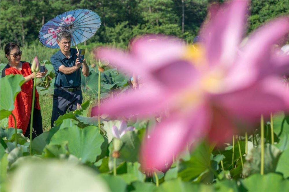云南暑期入境游持续升温 多数为避暑度假