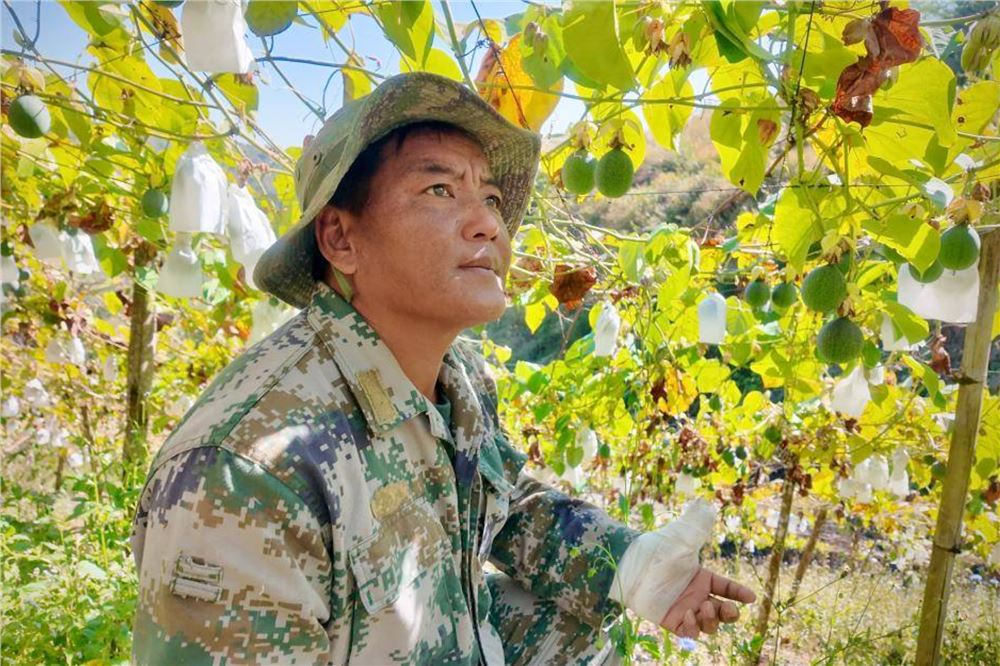 时代人物丨云南勐海护林员腊疯：“我是雨林的孩子”