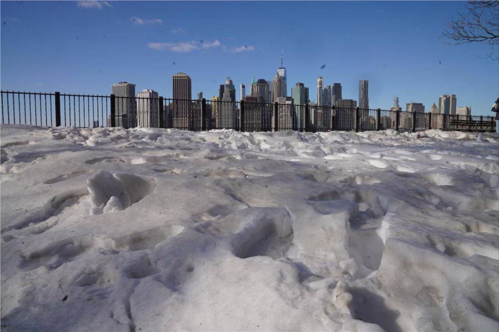 又一场冬季风暴袭击美国东南部 佛州再现“天降蜥蜴”奇观