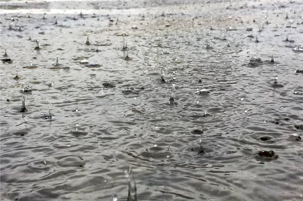 河南许昌：中心城区立即停工、停业、停运、停课