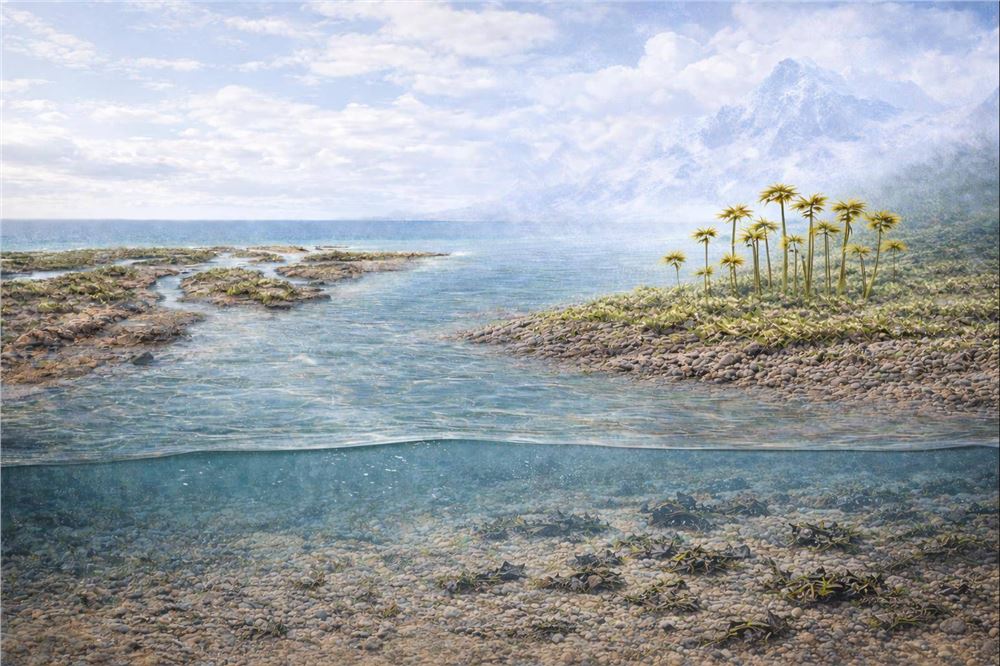 4亿多年前早期植物已在陆地大规模扩张