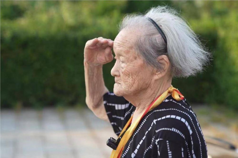 影珠山上的军礼 ——抗战伉俪杨世英、李淑芳的百年掠影