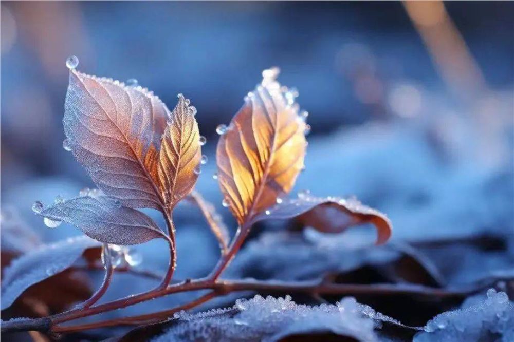 霜降辞：晏殊的高楼秋意与千年咏秋绝唱