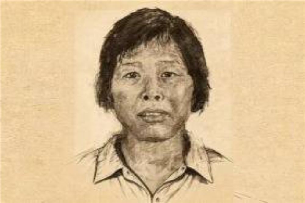 “梅姨”落网全过程揭秘，警方回应何时公布其照片