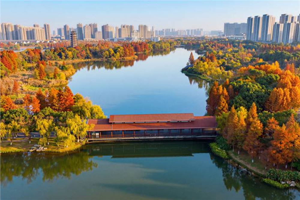 以河湖长制赋能洋湖治理，长沙洋湖国家湿地公园河湖长制实践成效纪实