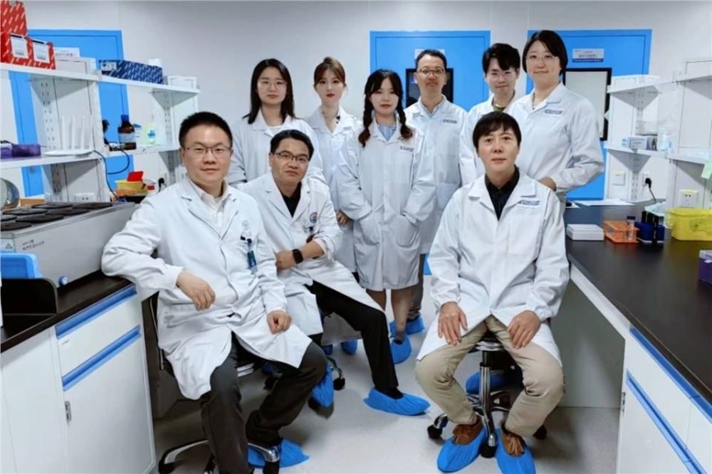 上海科学家开辟再生胰岛移植治疗1型糖尿病新路径