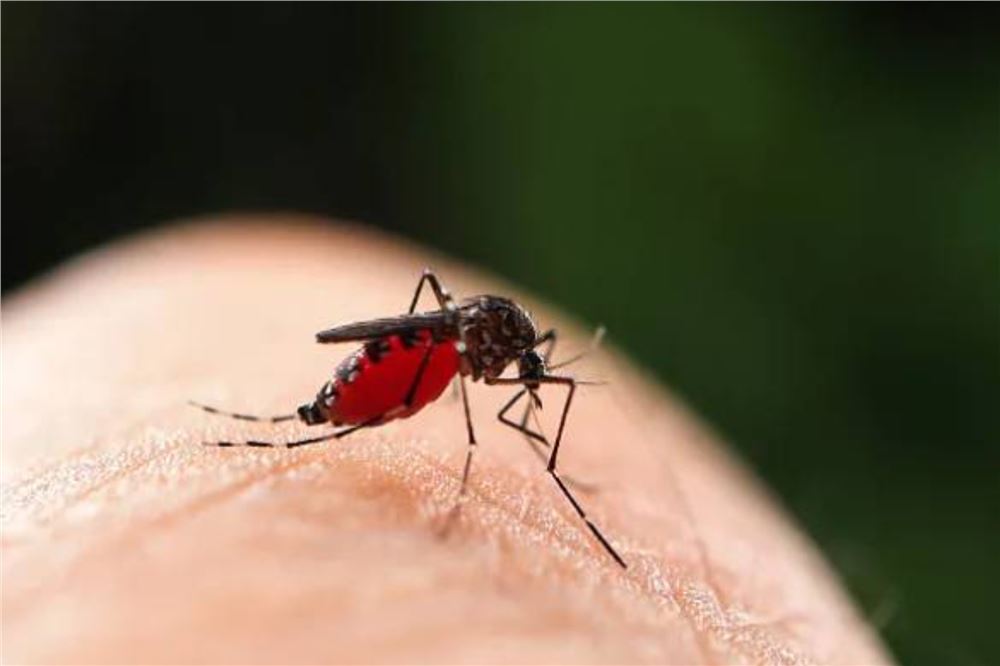 多地提醒：返回人员进行14天自我健康监测