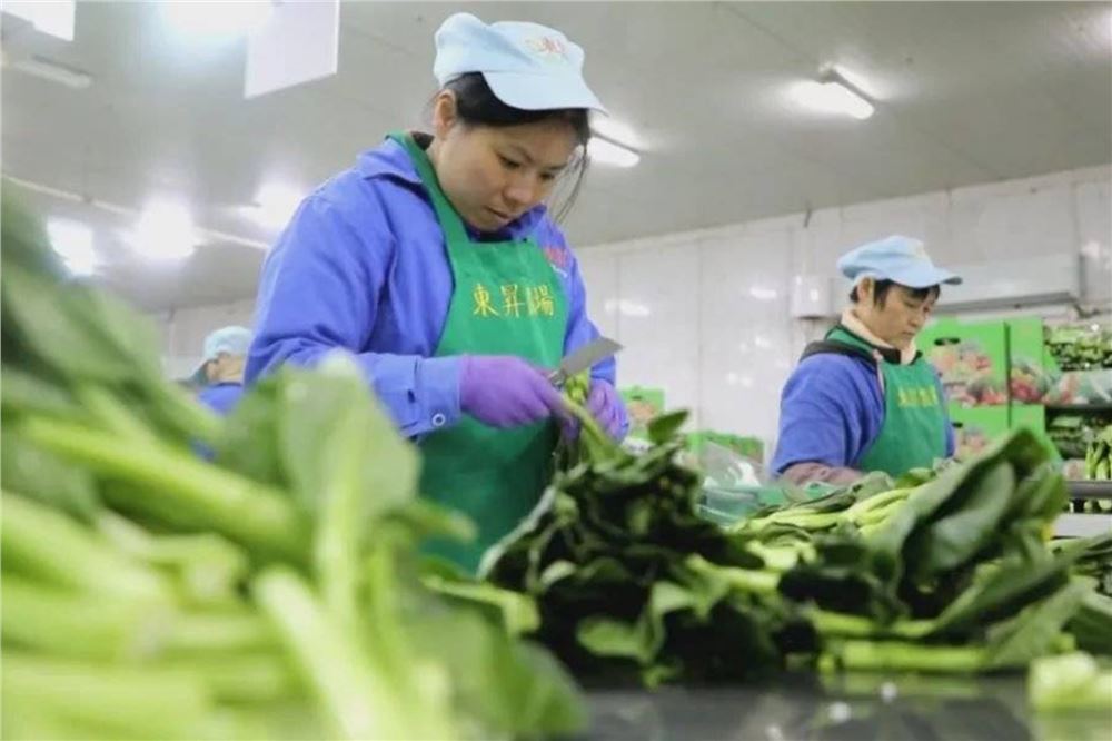 2025年湖南农产品出口总额居中部第一