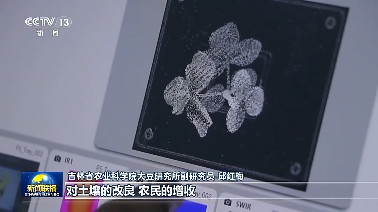 在希望的田野上丨良种+良机+良法 各地春耕有妙招