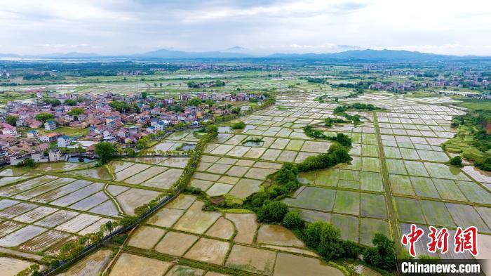 江西吉水春日田园景如画